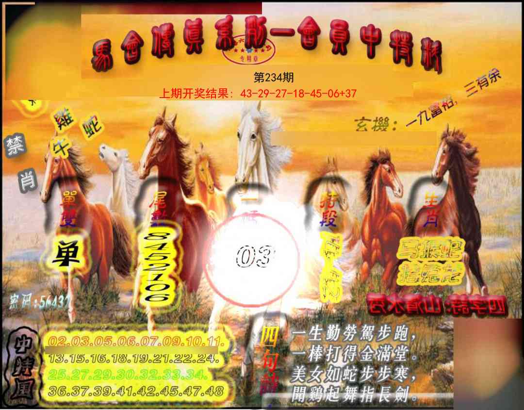 234期马会传真-会员报[图]
