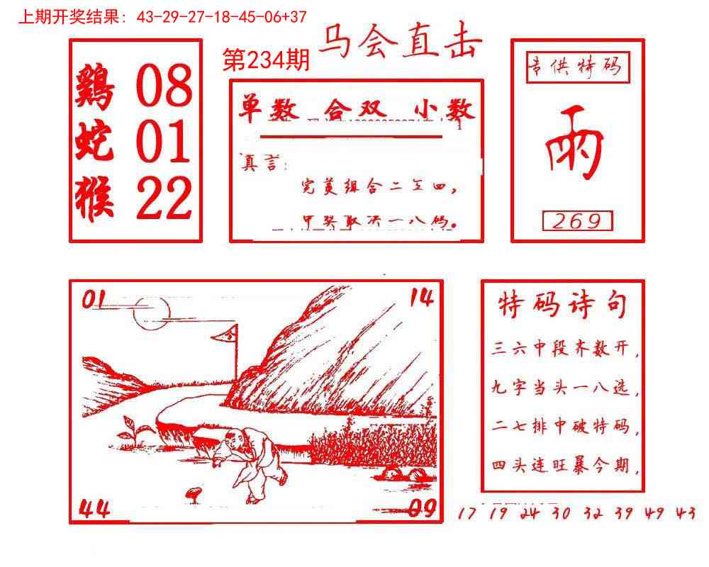 234期马会直击[图]