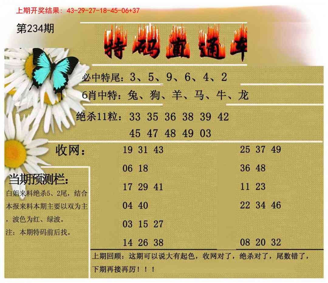 234期特码直通车[图]