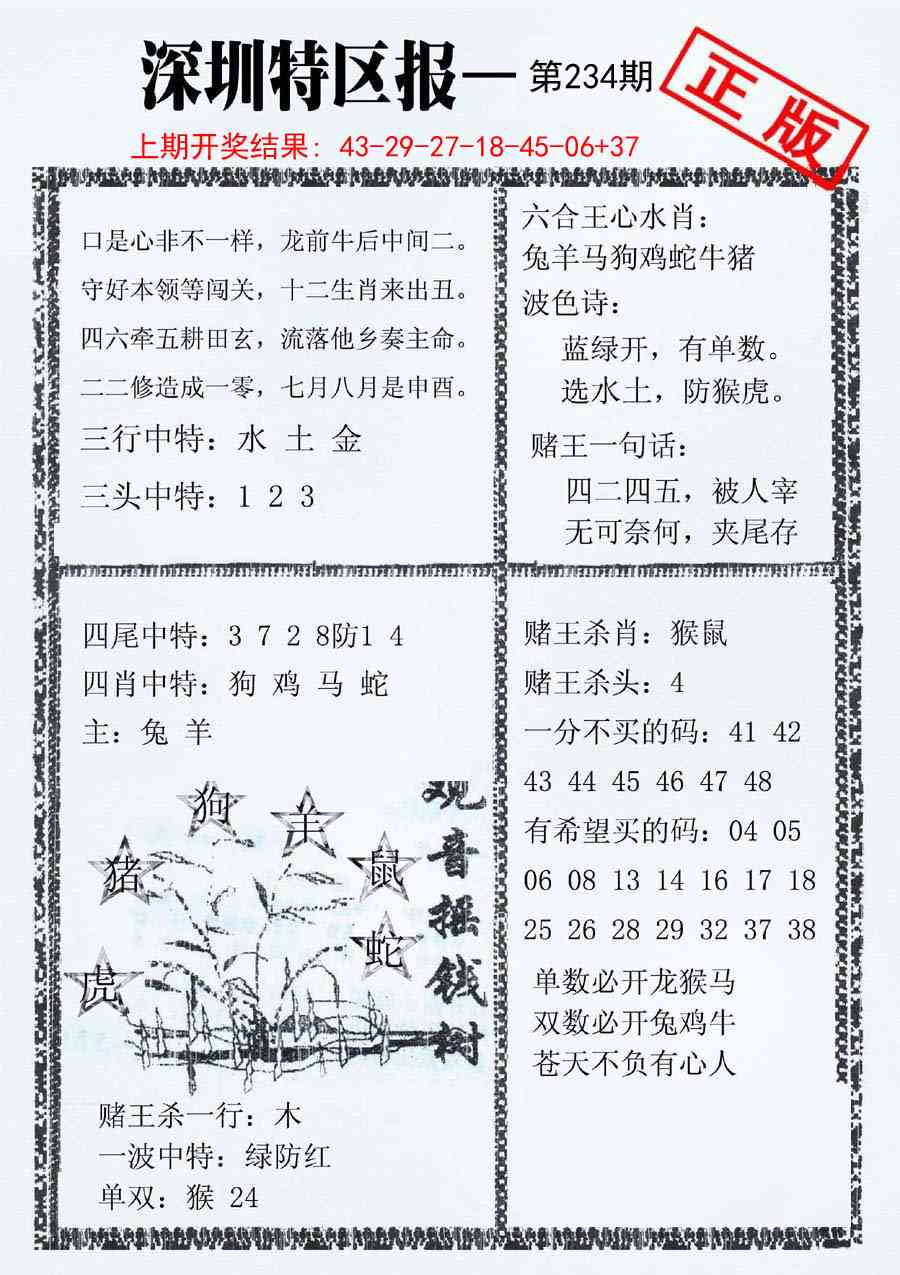 234期深圳特区报A[图]