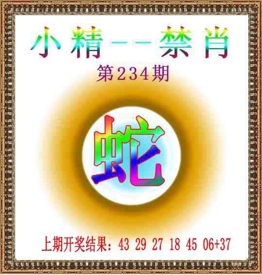 234期小精禁肖[图]