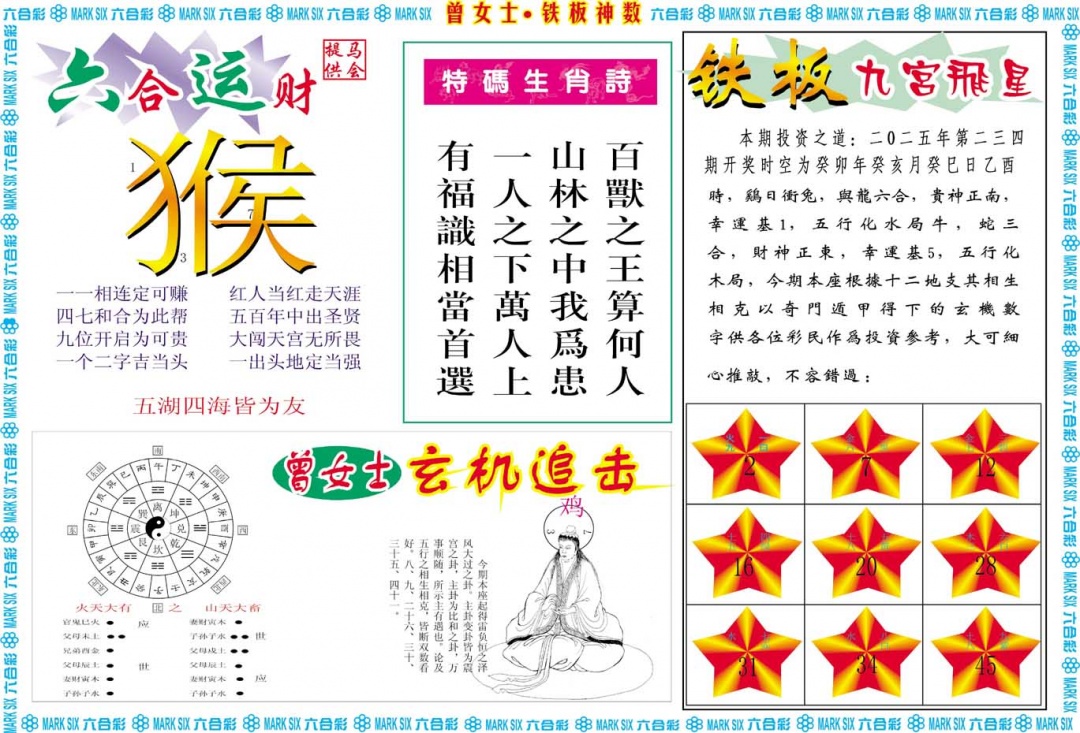 234期曾女士铁板神数B[图]