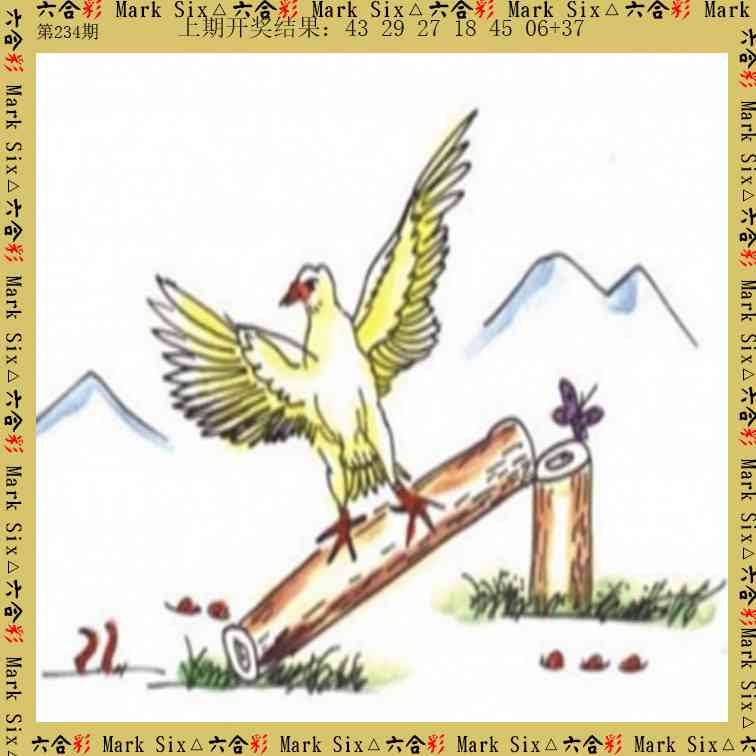 234期藏宝图[图]