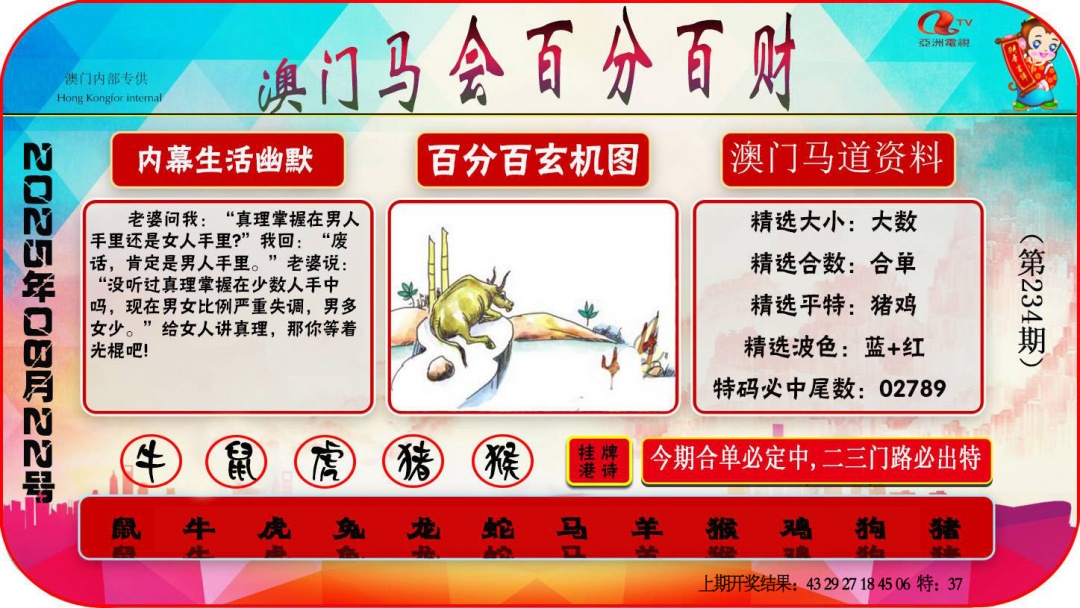 234期百分百财经[图]