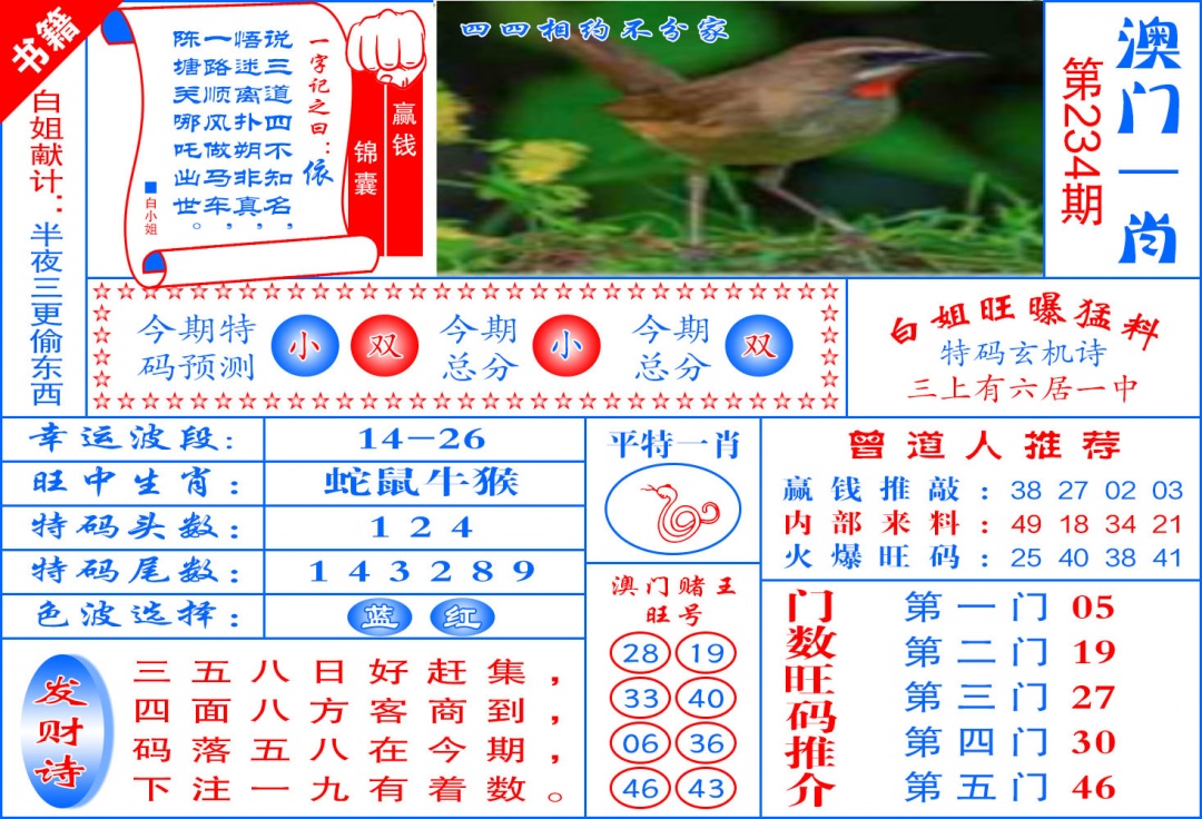 234期澳门东北虎[图]