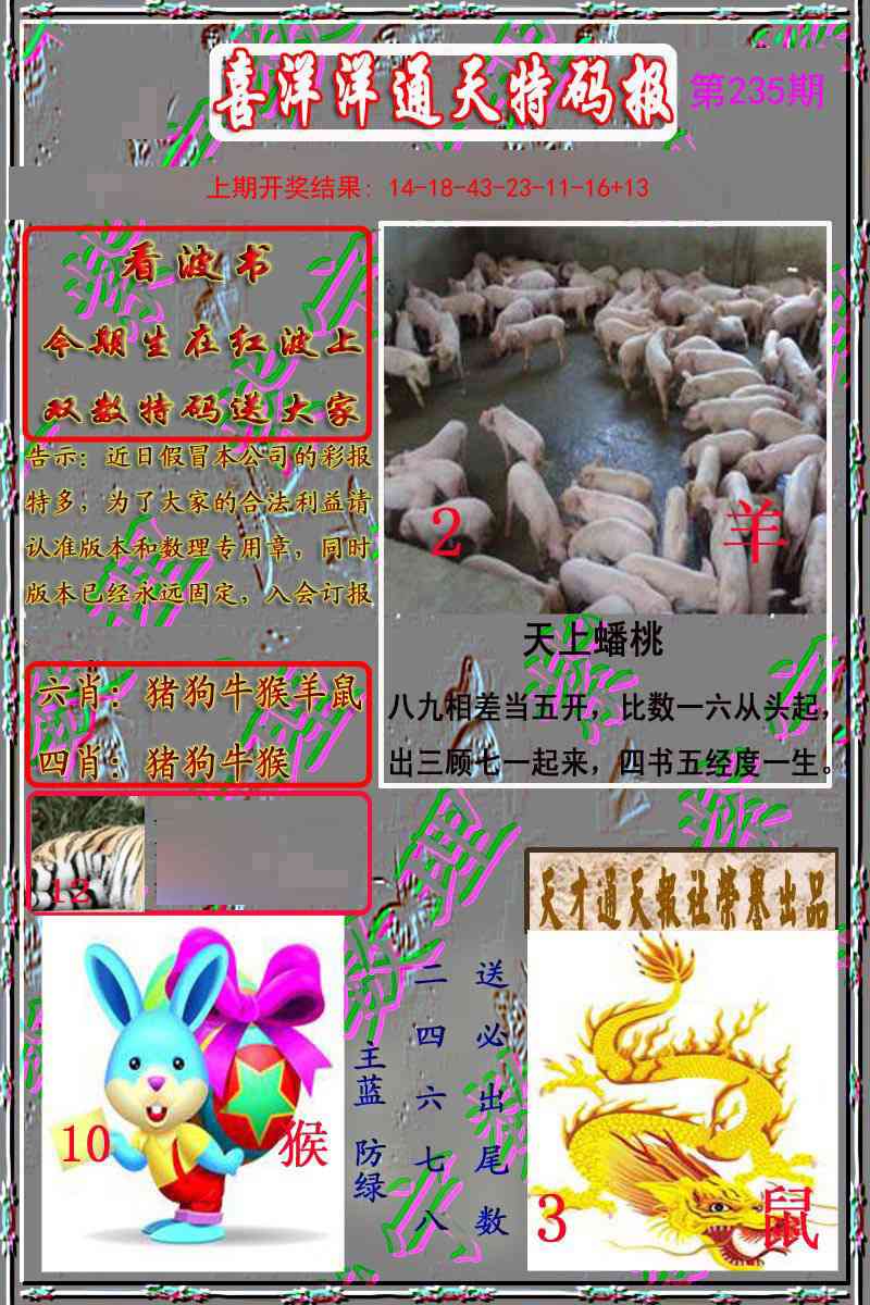 235期洋通报[图]