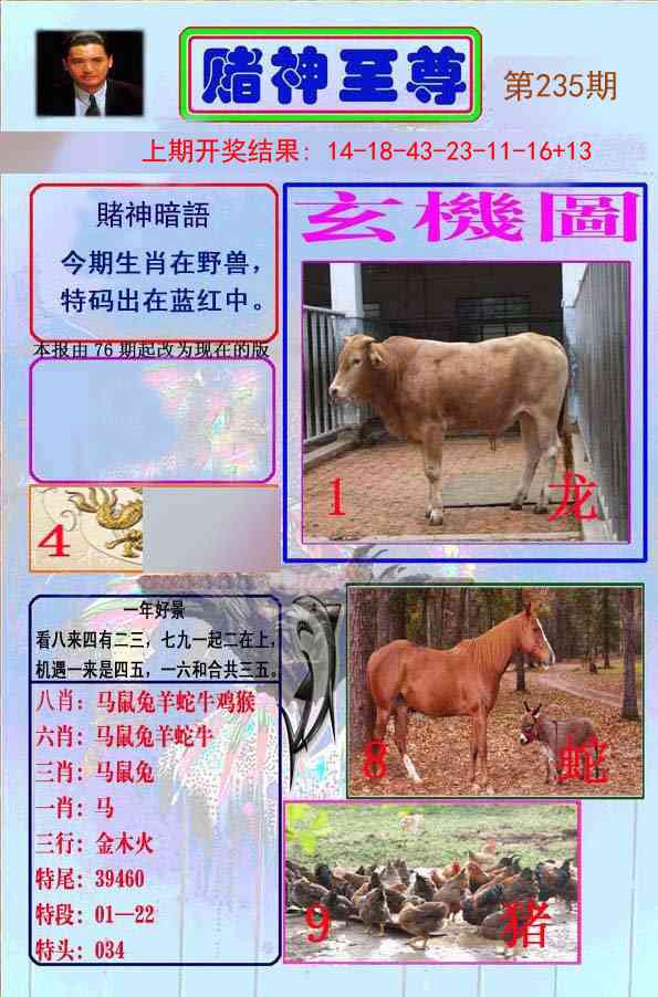 235期赌神至尊[图]