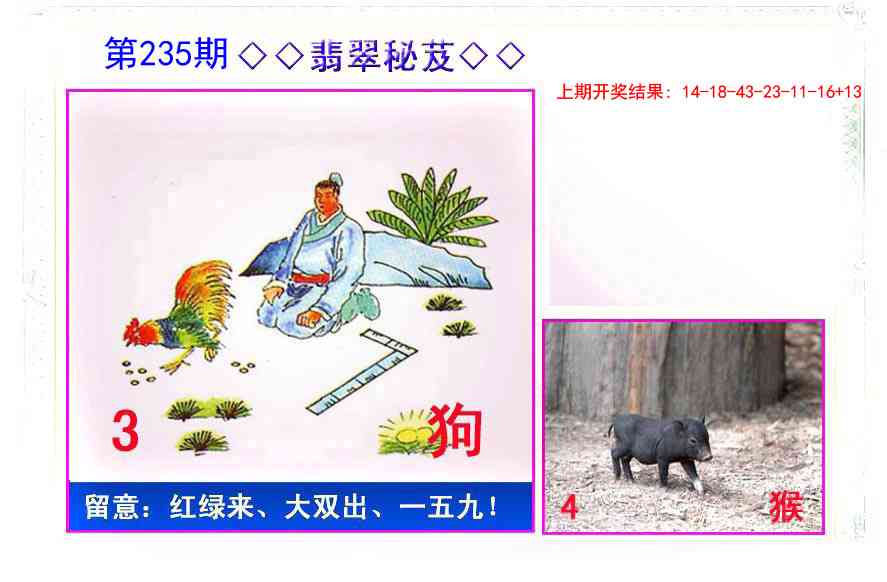 235期翡翠报[图]