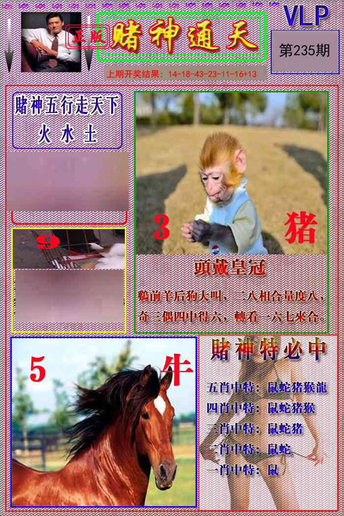 235期赌神通天报[图]
