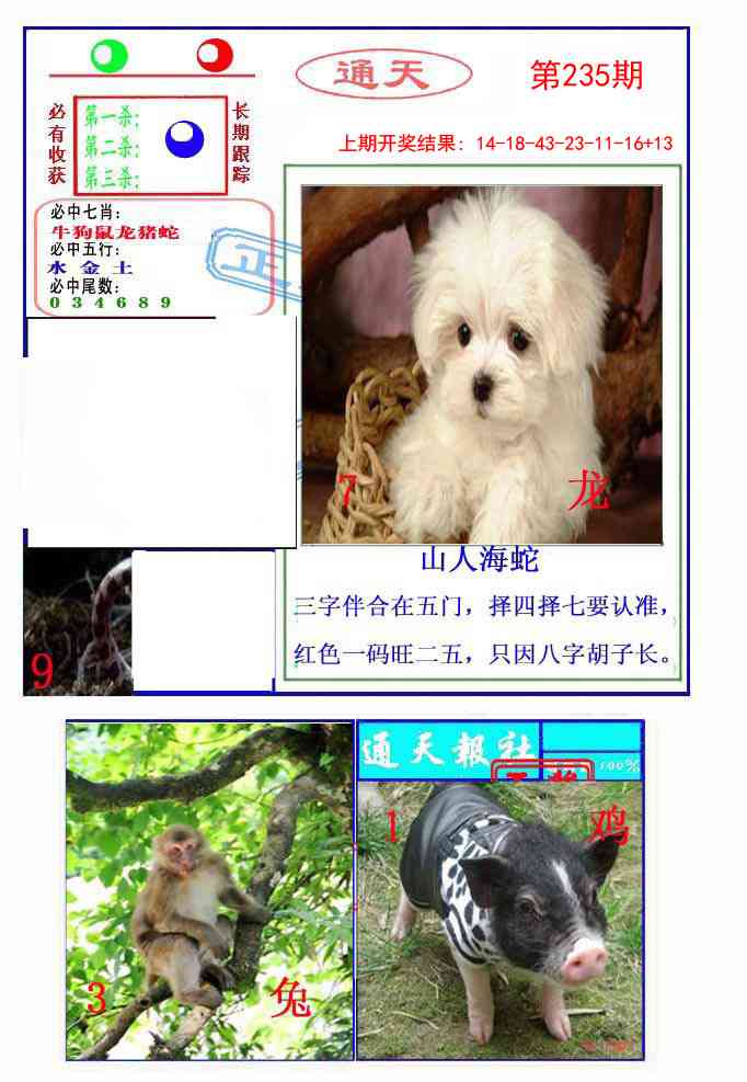 235期通天杀波图2[图]