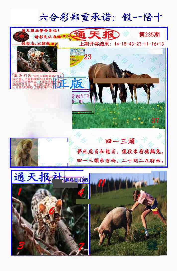 235期假一陪十通天报[图]