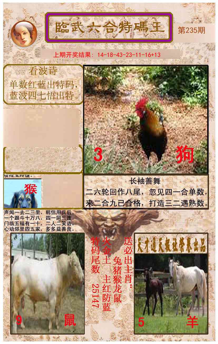 235期临武六合特码王[图]