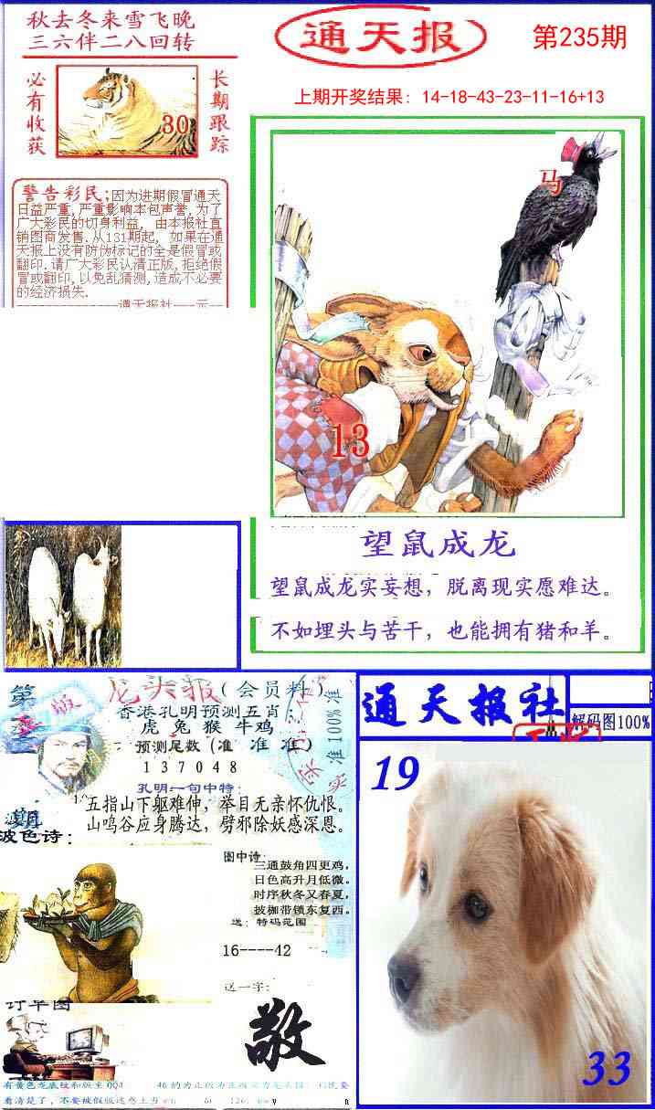 235期实力通天报[图]