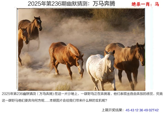 236期幽默猜测[图]