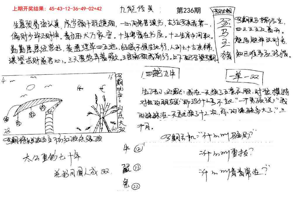 236期手写九龙内幕[图]