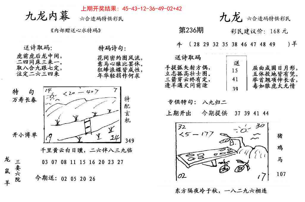 236期九龙内幕[图]