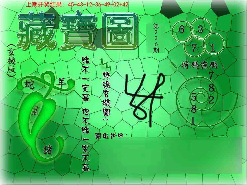 236期九龍玄机报[图]