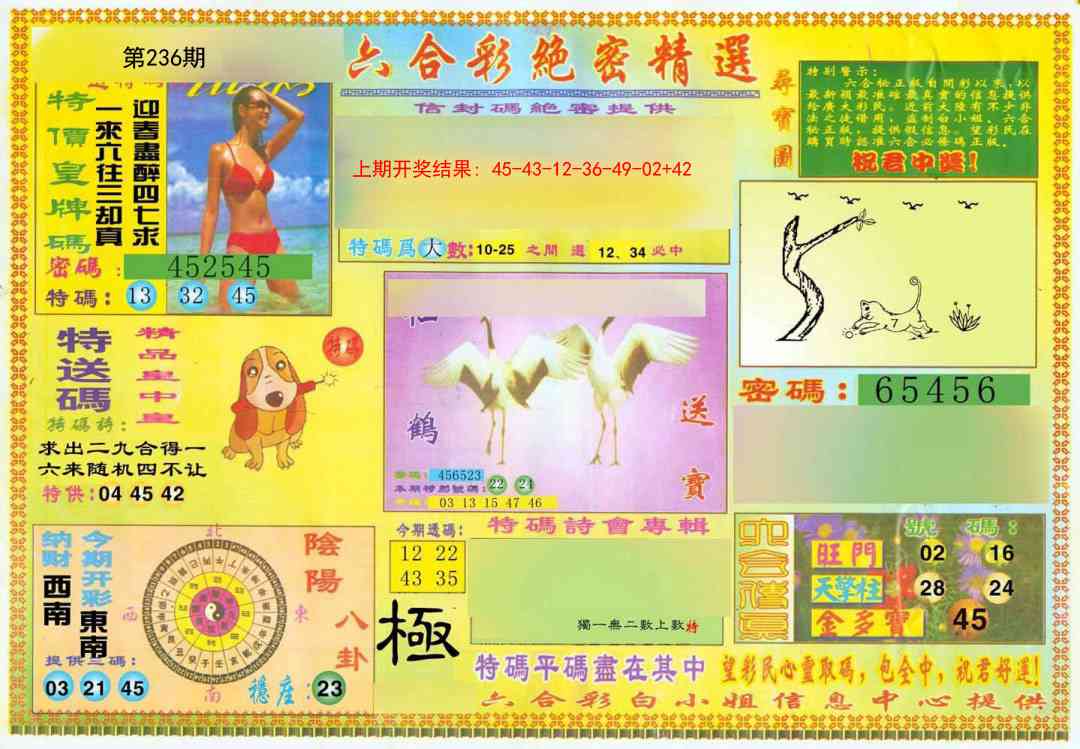 236期绝密精选A[图]