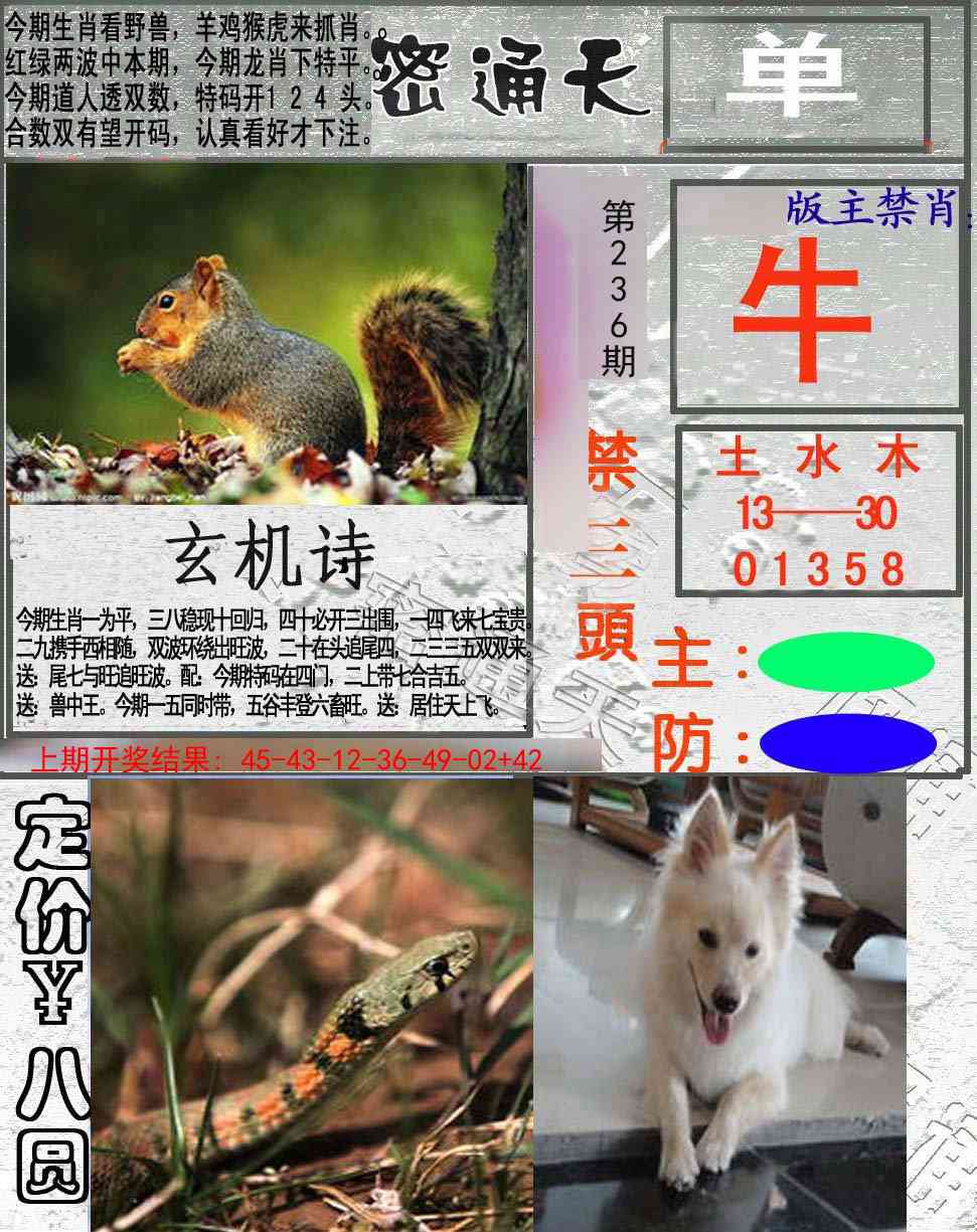 236期密通天[图]