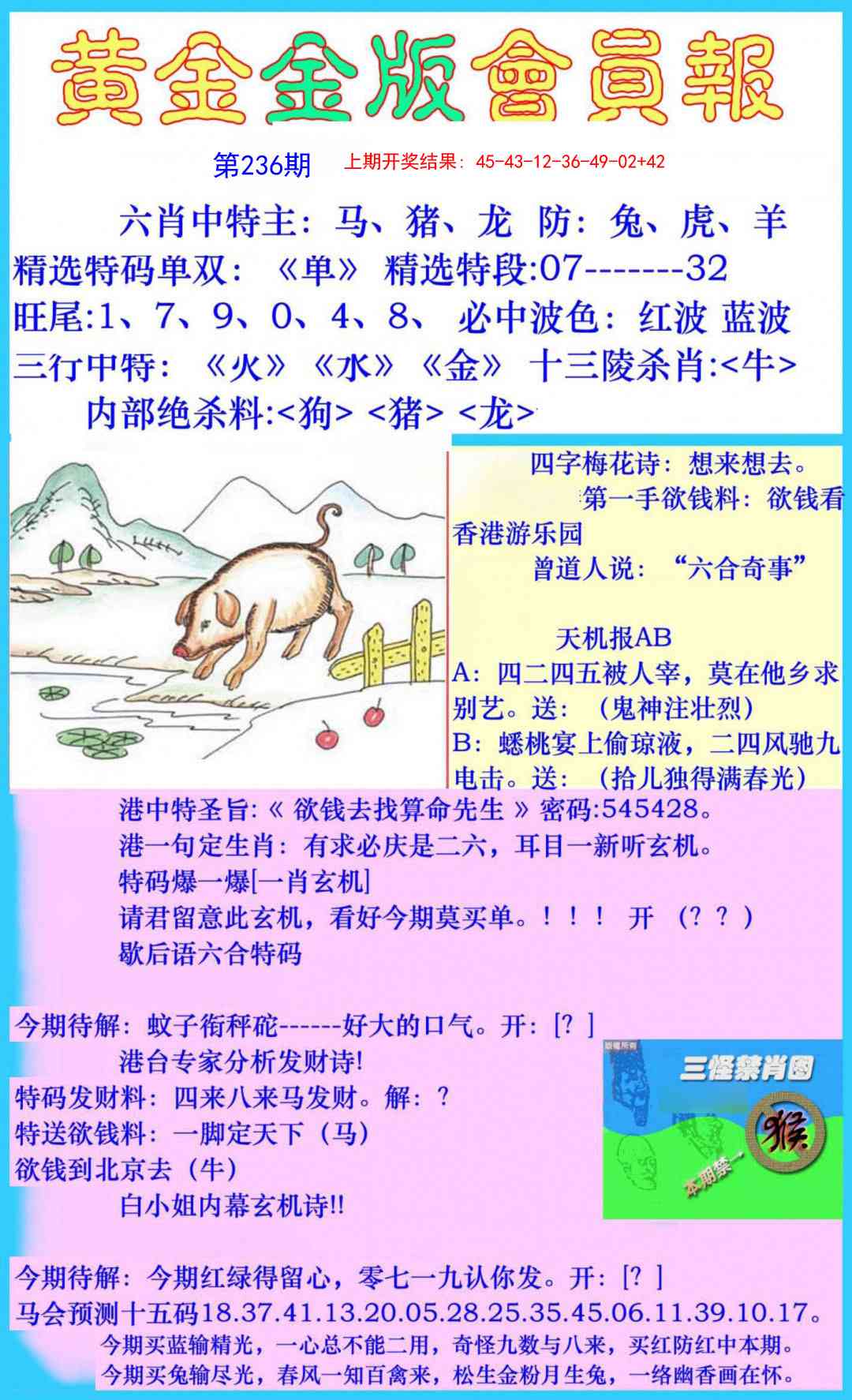 236期黄金金版会员报[图]