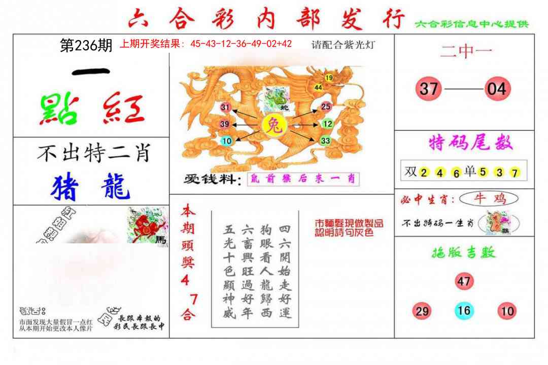 236期一点红[图]