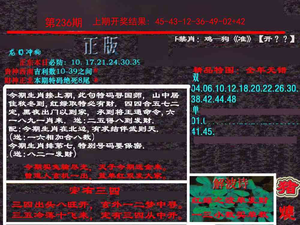 236期新港内幕[图]