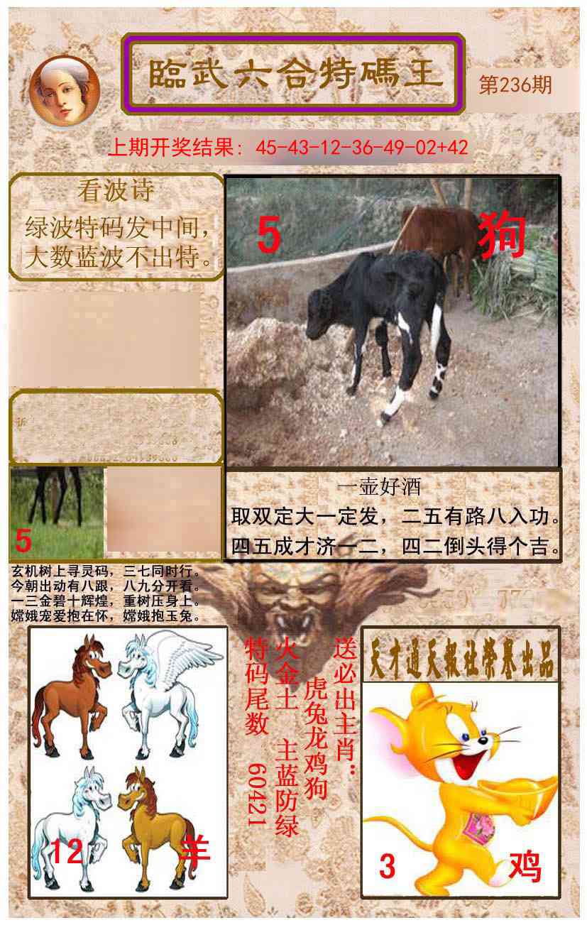 236期临武六合特码王[图]