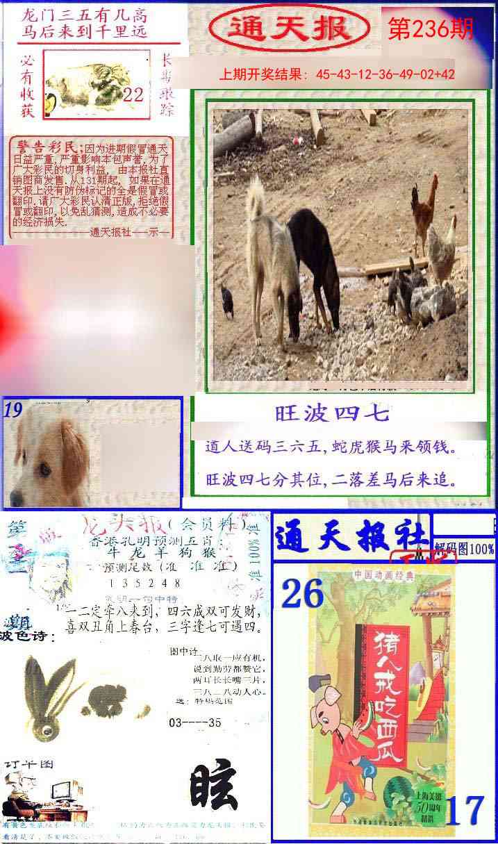 236期实力通天报[图]