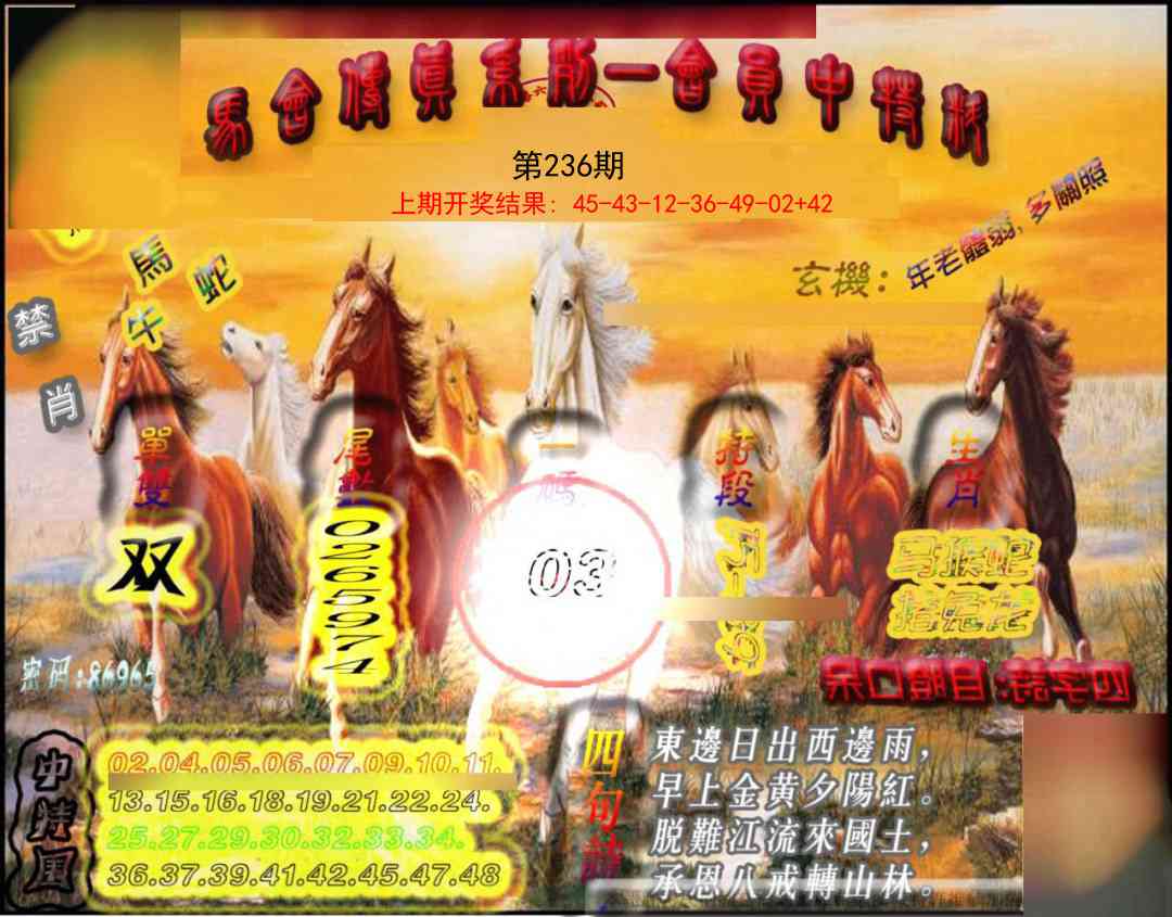 236期马会传真-会员报[图]