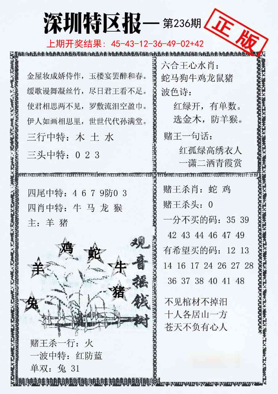 236期深圳特区报A[图]