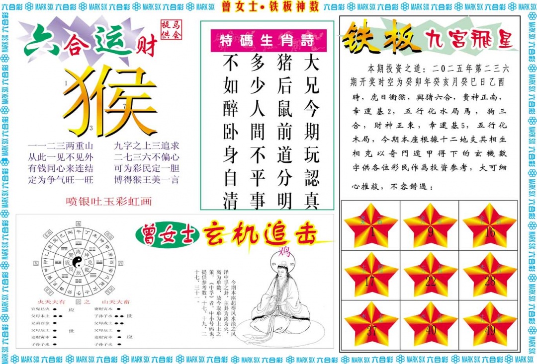 236期曾女士铁板神数B[图]