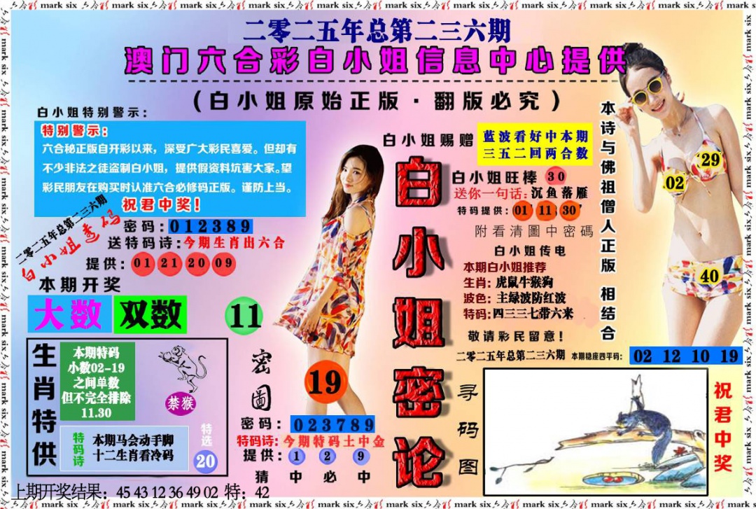 236期白小姐密论[图]