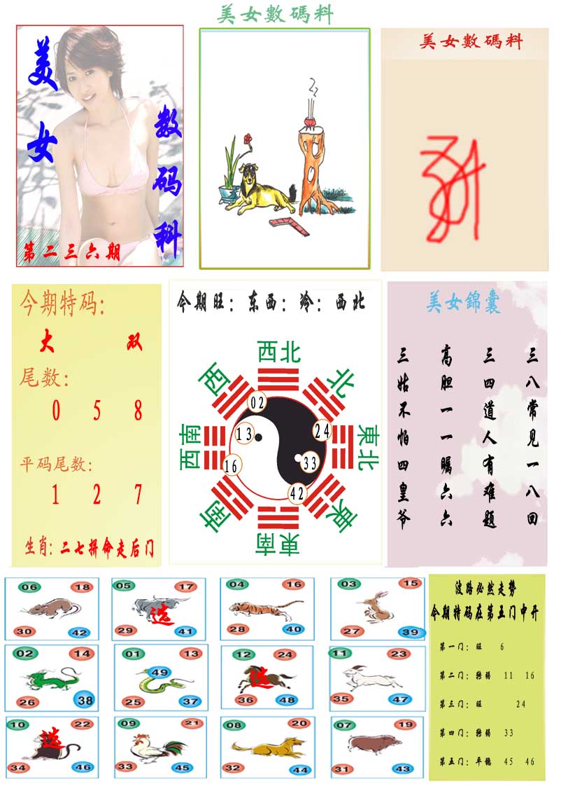 236期美女数码料[图]