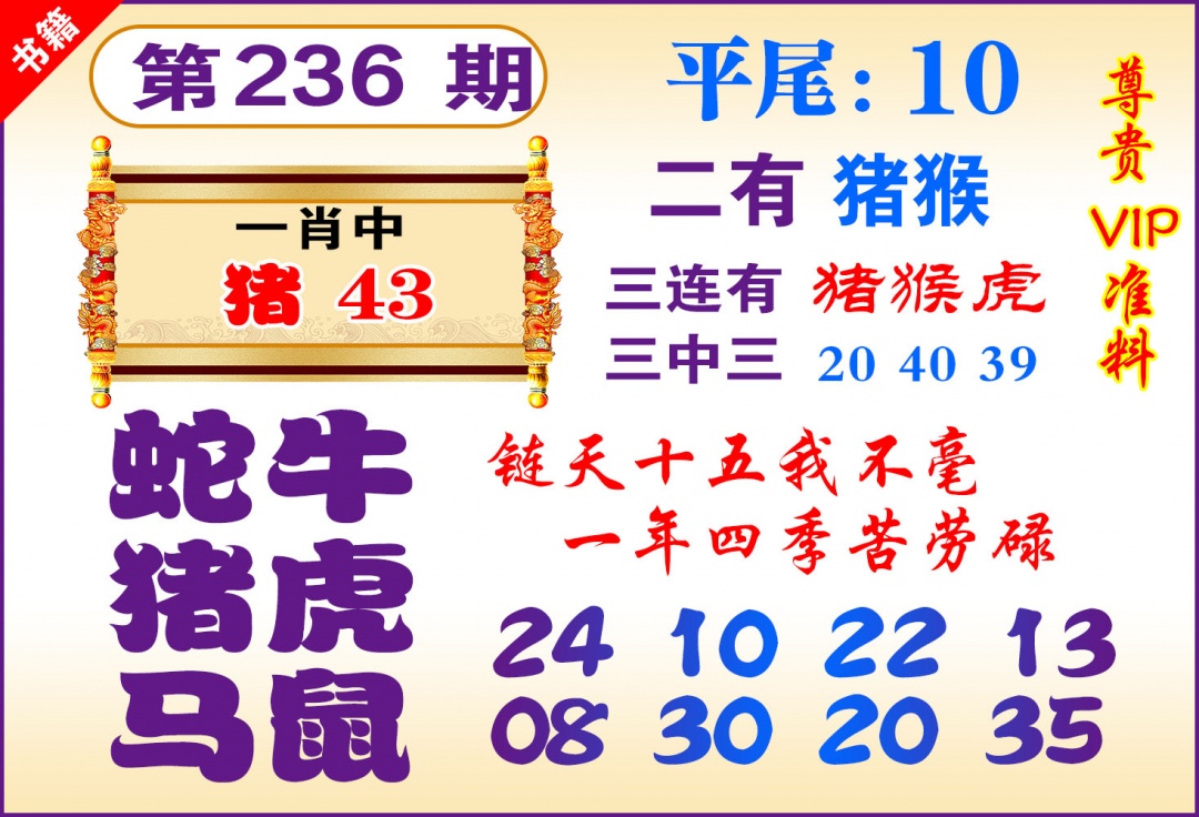 236期澳门九龙天书[图]