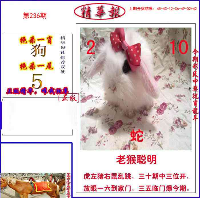 236期新精华报报[图]