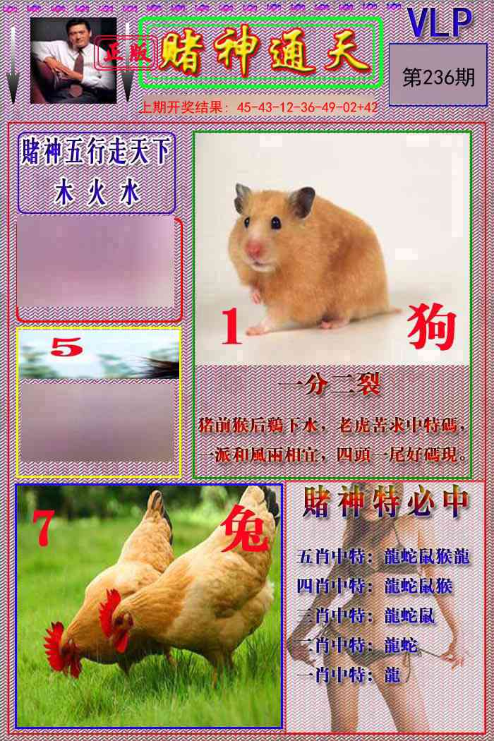 236期赌神通天报[图]