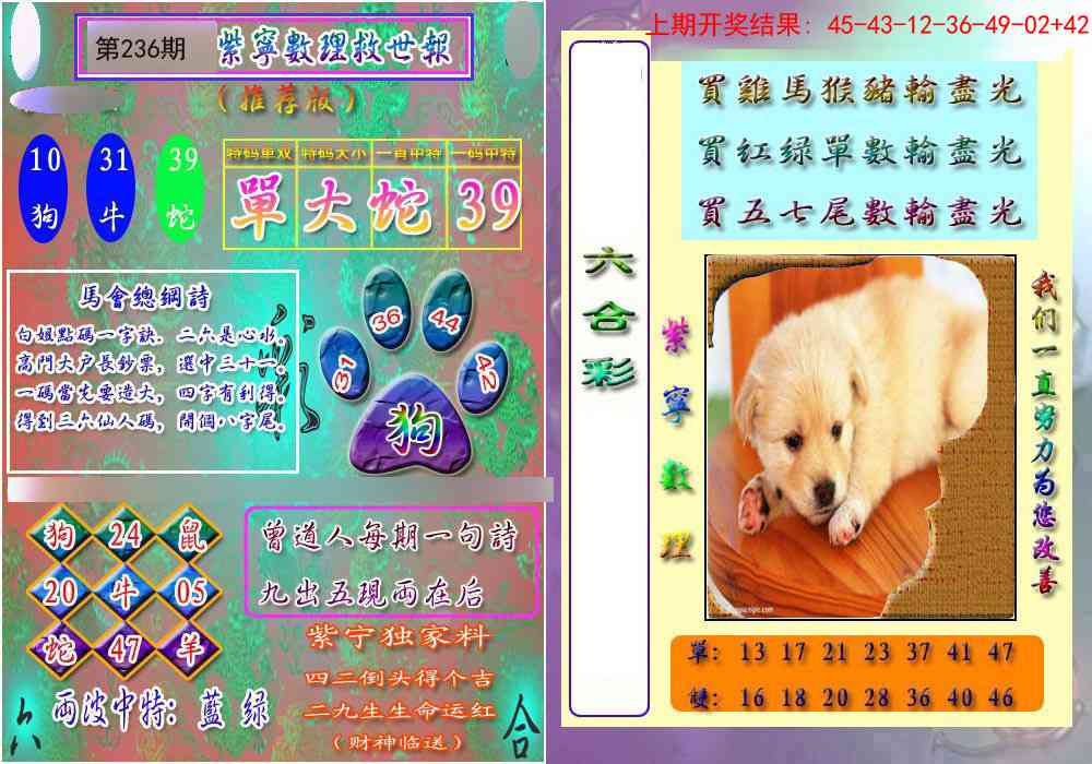 236期数理救世报[图]