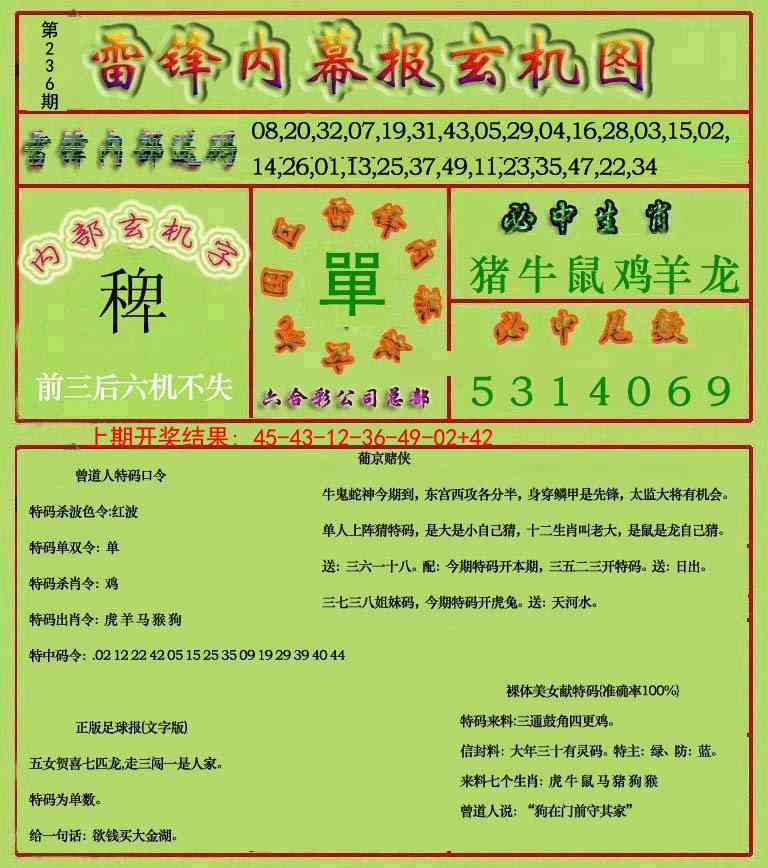 236期雷锋玄机报[图]