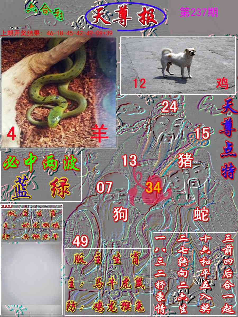237期天尊报[图]