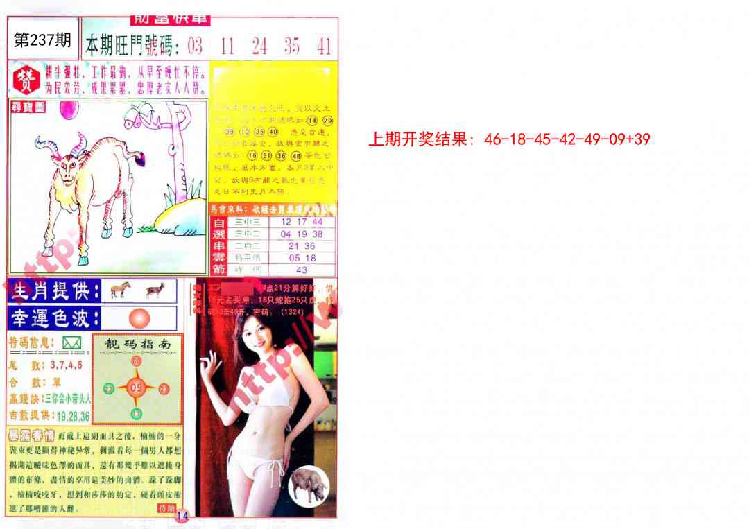 237期财富快车[图]