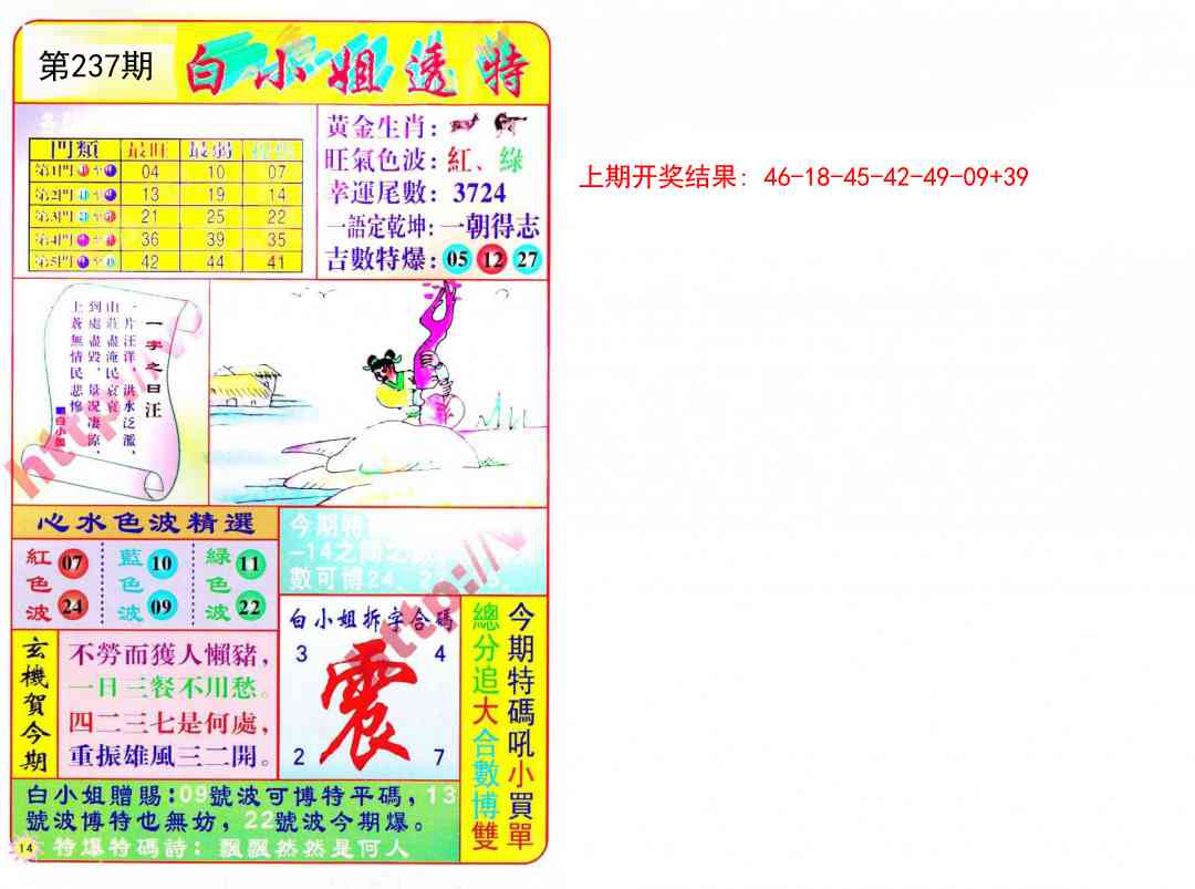 237期白小姐透特[图]