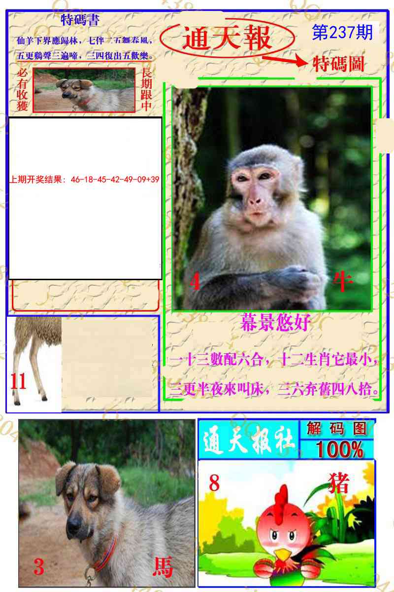 237期通天特解图[图]