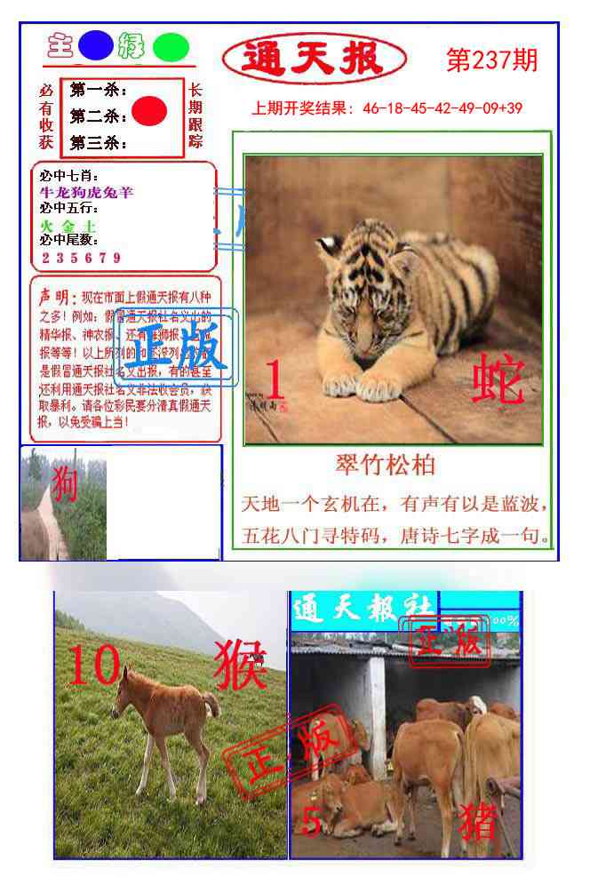 237期通天杀波图1[图]