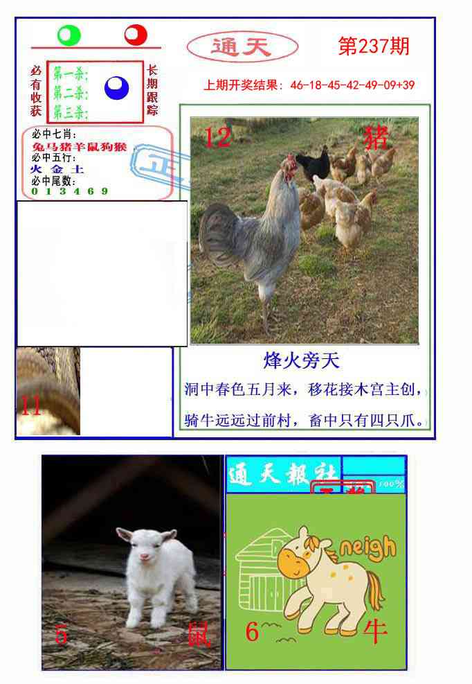 237期通天杀波图2[图]