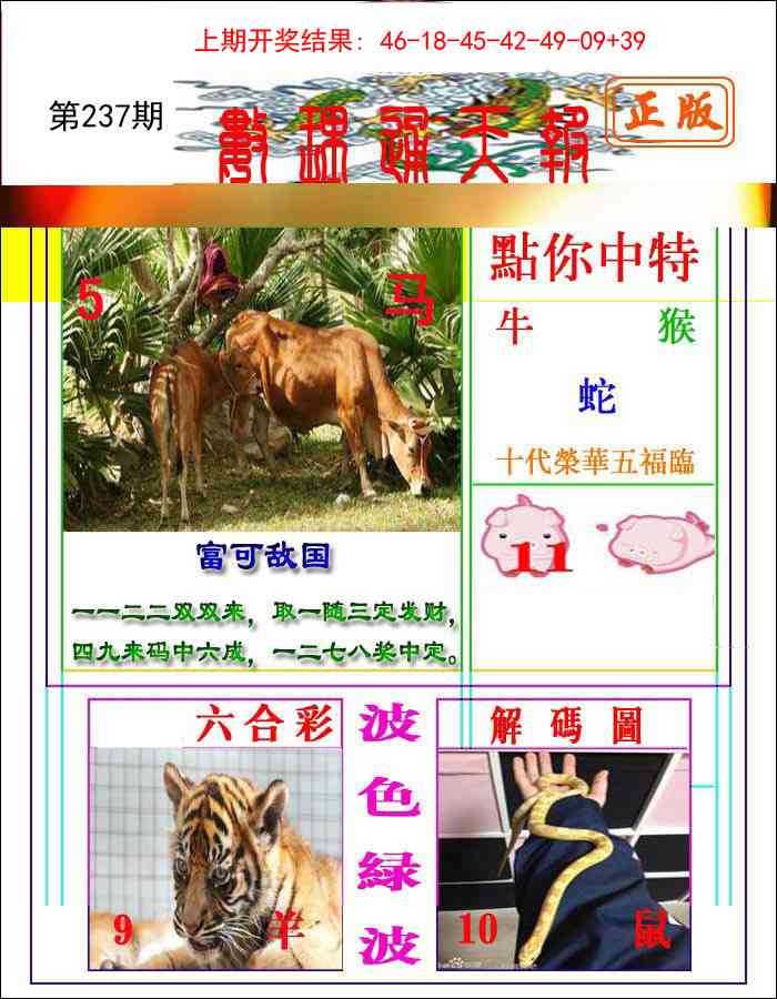 237期数理通天[图]