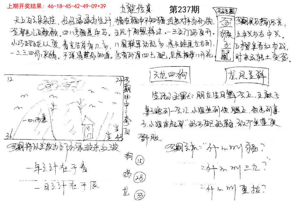 237期手写九龙内幕[图]