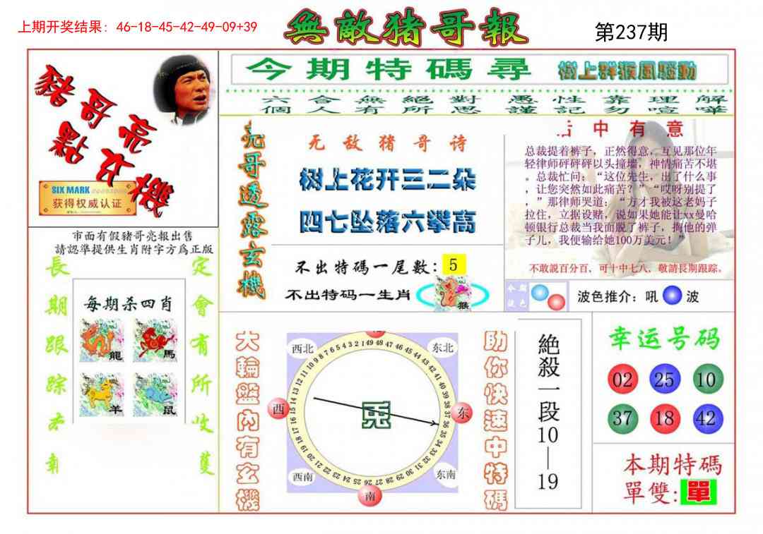 237期无敌猪哥[图]