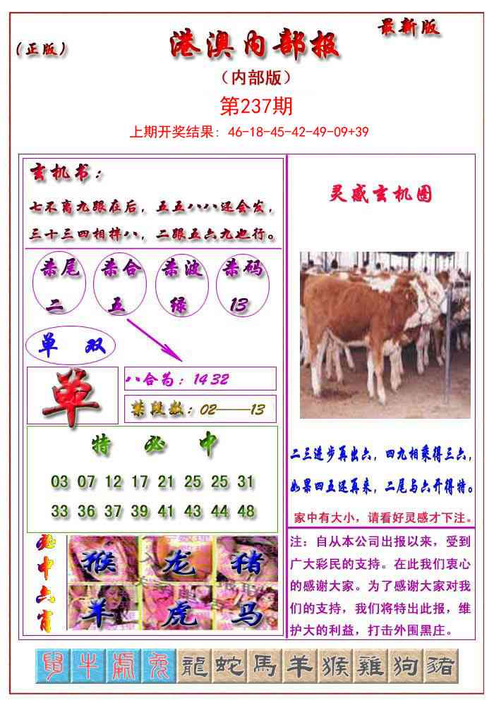 237期港澳报[图]