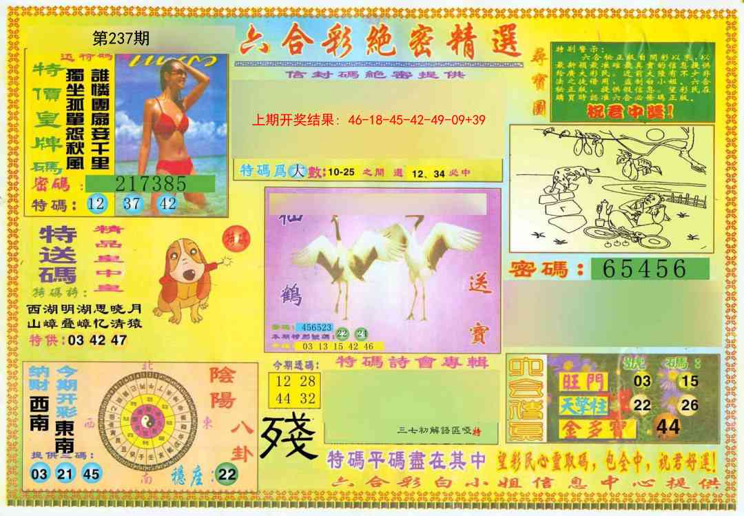 237期绝密精选A[图]