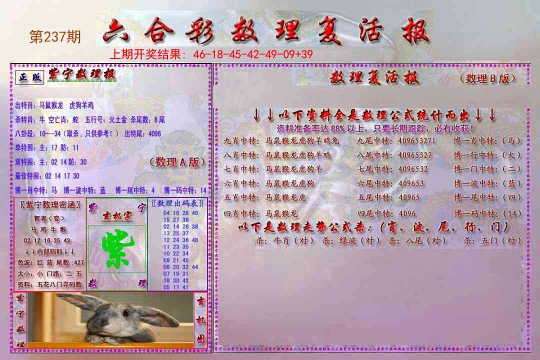 237期数理复活报[图]